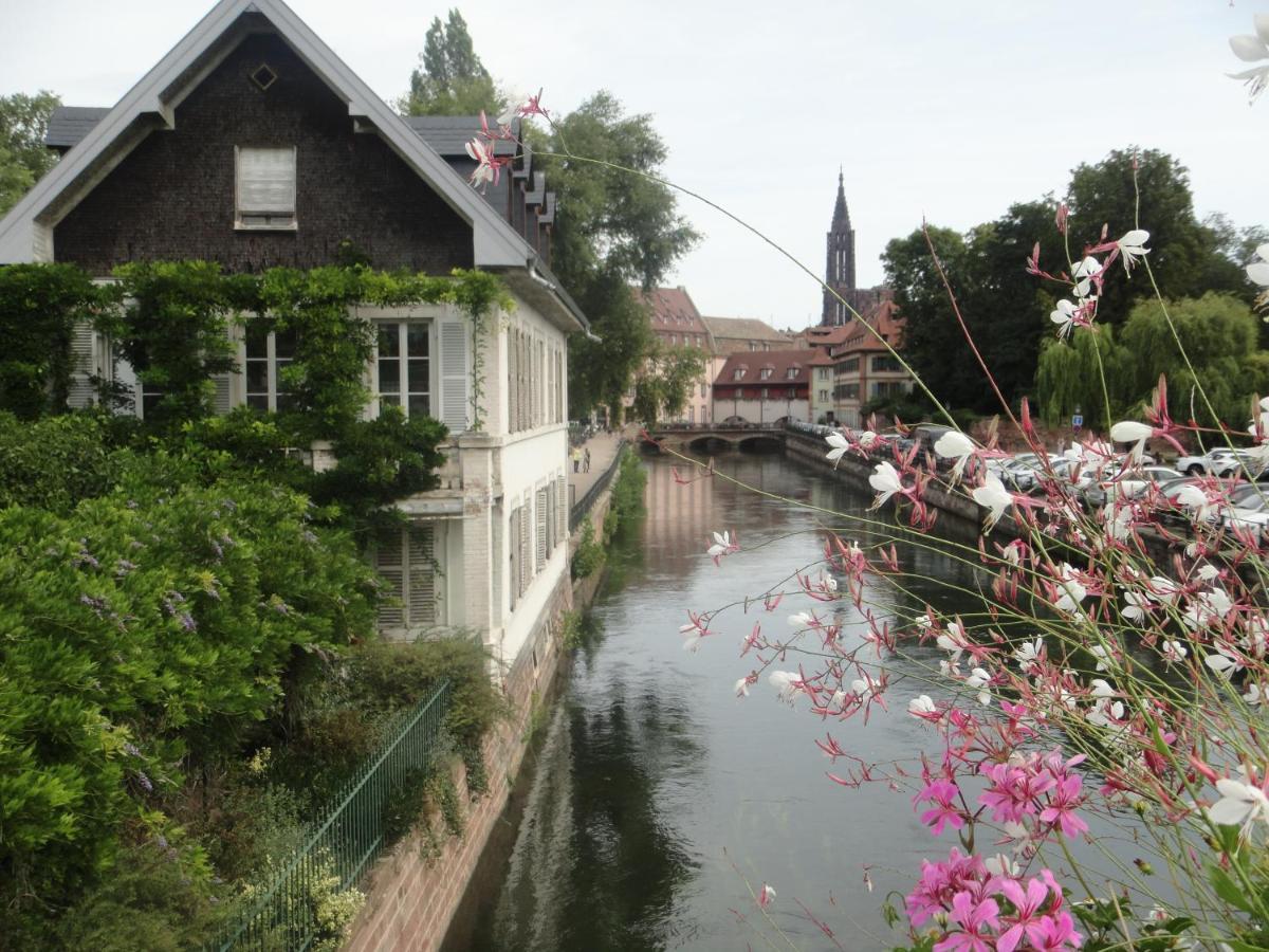 Gite Le Petit Moulin Rosenwiller ภายนอก รูปภาพ