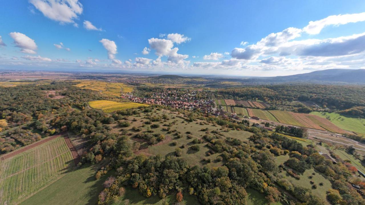 Gite Le Petit Moulin Rosenwiller ภายนอก รูปภาพ