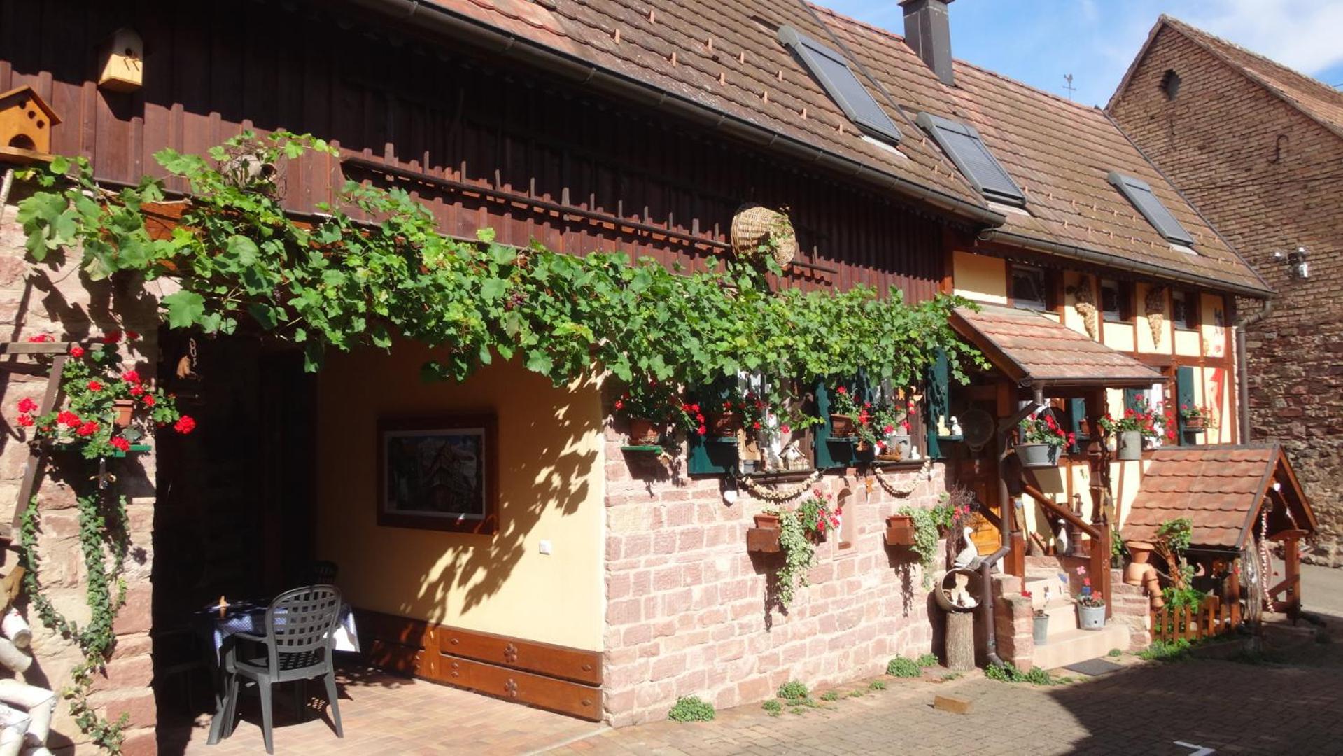Gite Le Petit Moulin Rosenwiller ภายนอก รูปภาพ