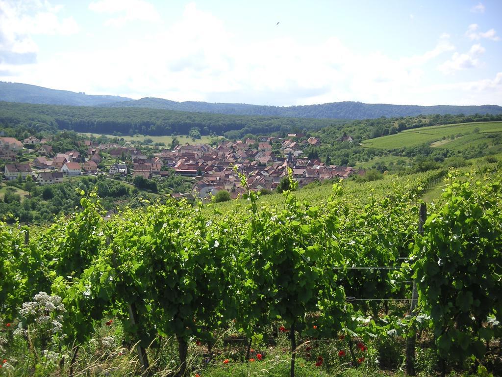 Gite Le Petit Moulin Rosenwiller ภายนอก รูปภาพ
