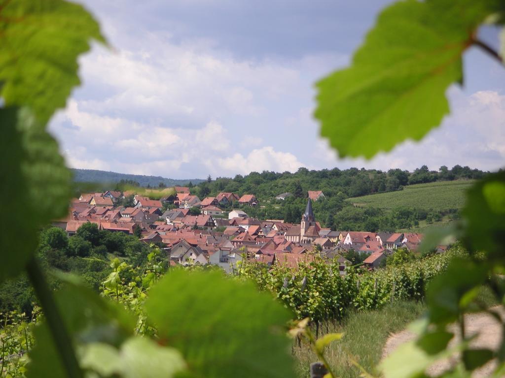 Gite Le Petit Moulin Rosenwiller ภายนอก รูปภาพ
