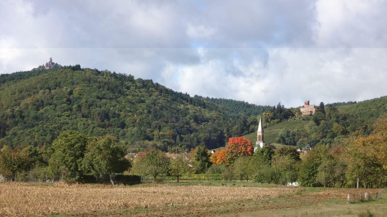 Gite Le Petit Moulin Rosenwiller ภายนอก รูปภาพ