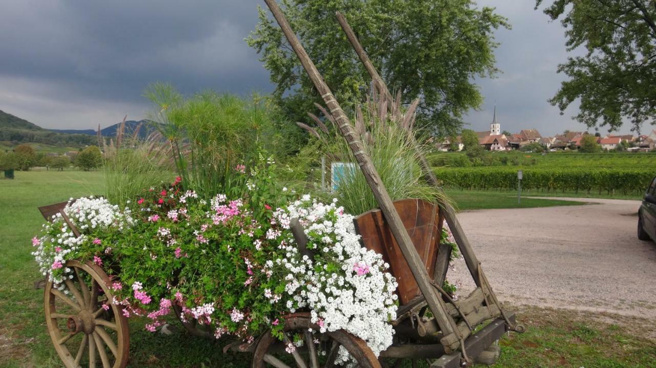 Gite Le Petit Moulin Rosenwiller ภายนอก รูปภาพ