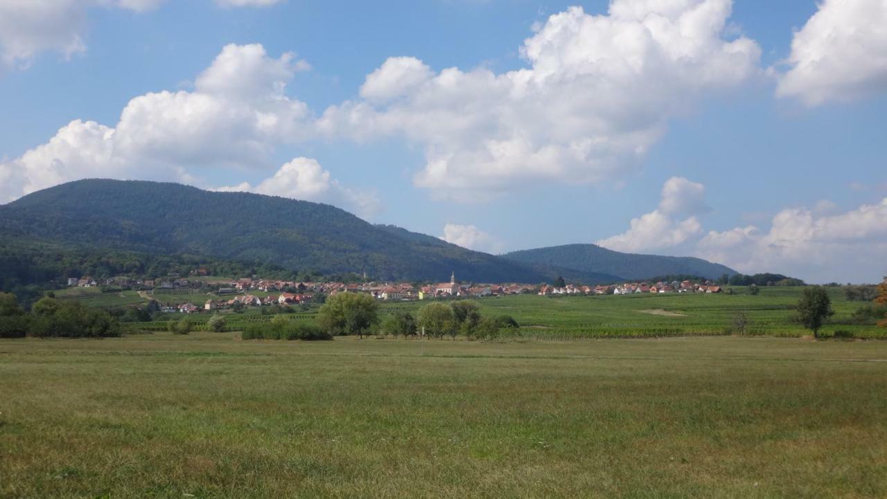 Gite Le Petit Moulin Rosenwiller ภายนอก รูปภาพ