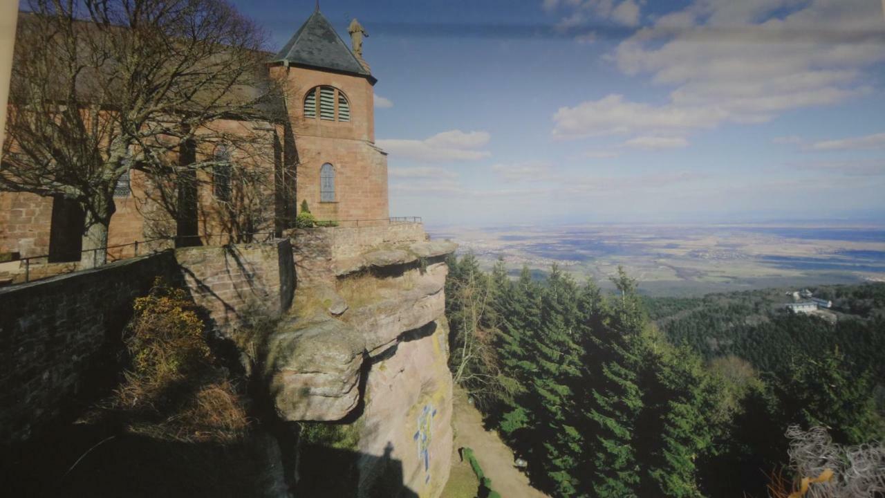 Gite Le Petit Moulin Rosenwiller ภายนอก รูปภาพ