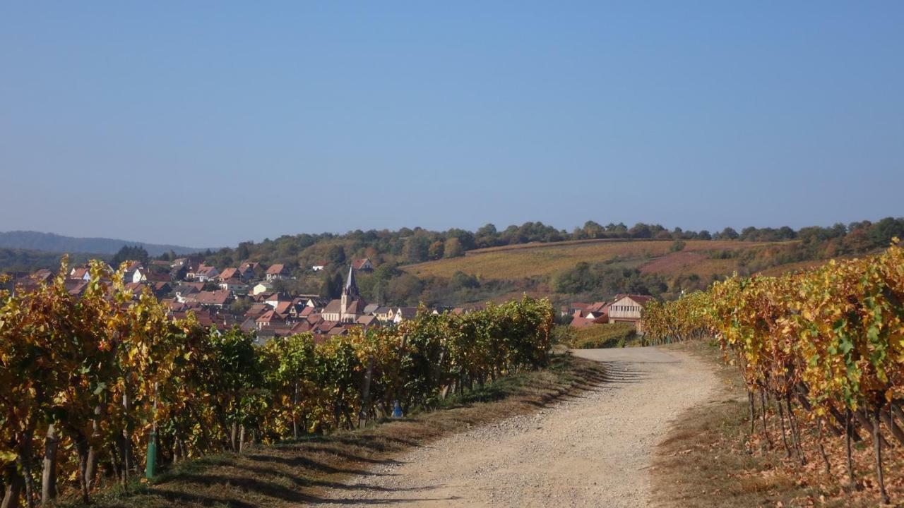 Gite Le Petit Moulin Rosenwiller ภายนอก รูปภาพ